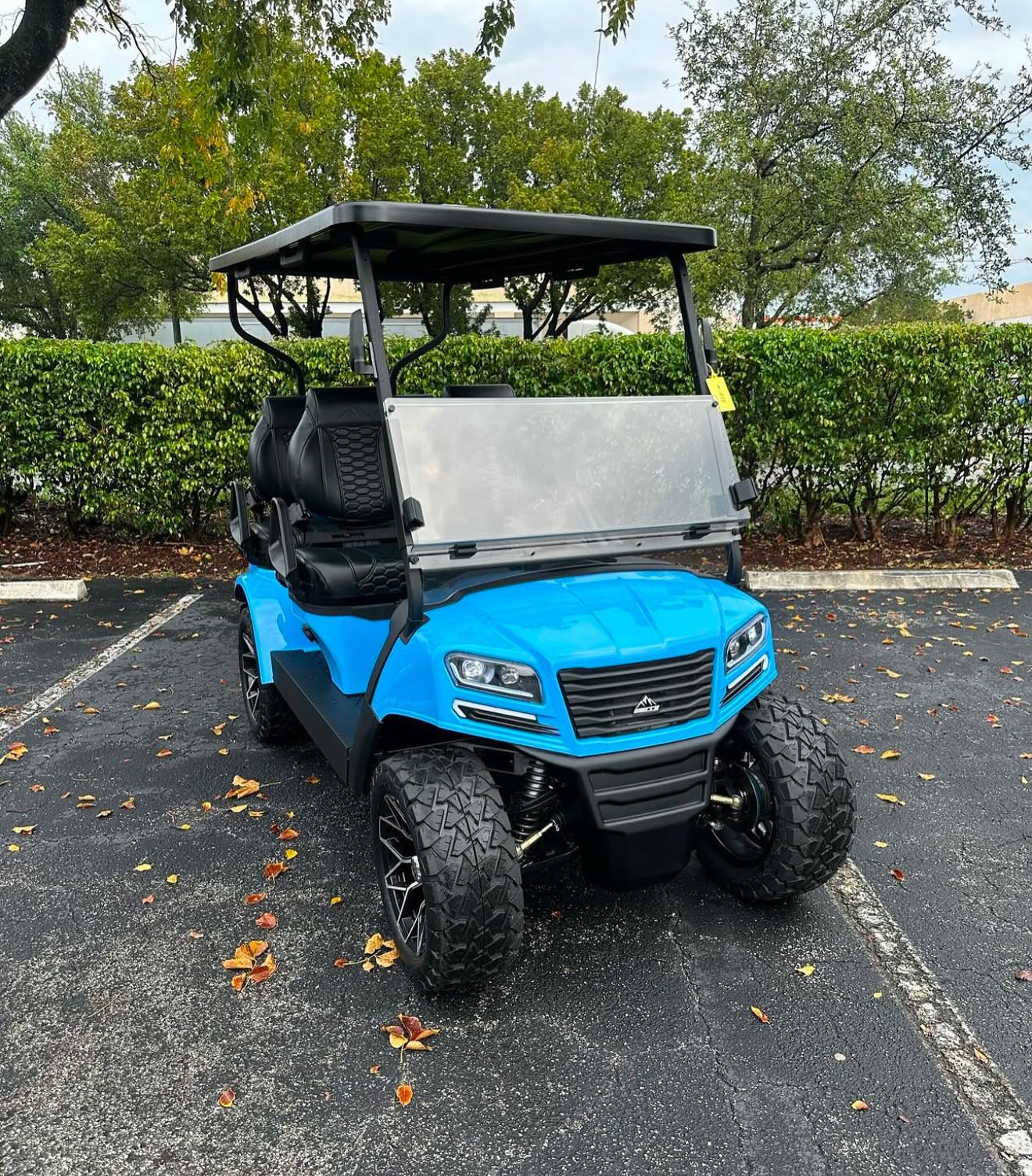 2024 Sierra LSV 4-Passenger
